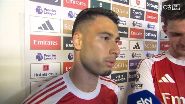 臣马丁内利 臣马丁内利