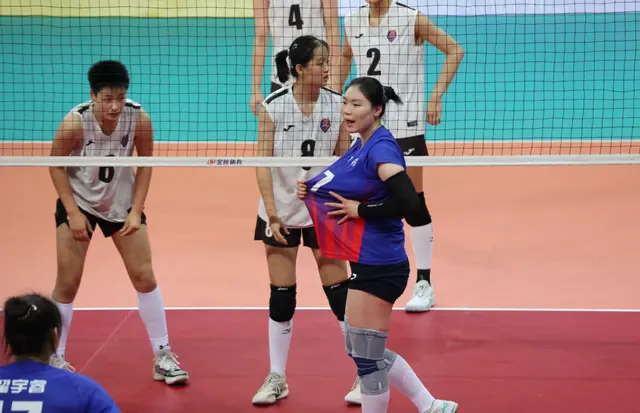 菜菜巳同为 菜菜巳同为